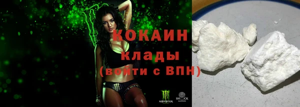 прущие грибы Алексин